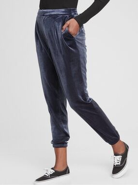 Velvet Jogger Pants in Slate Blue
